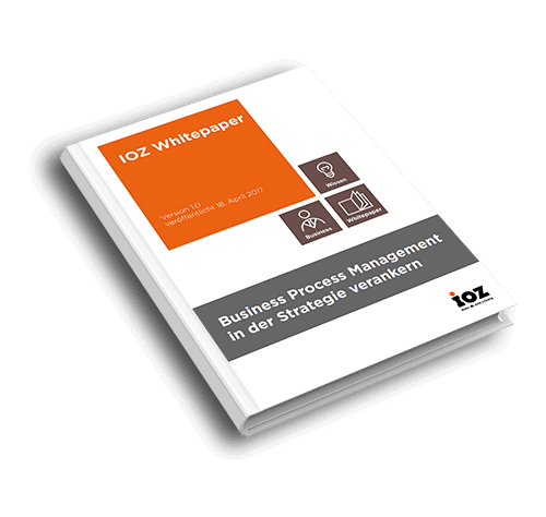 IOZ Whitepaper BPM in der Unternehmensstrategie verankern